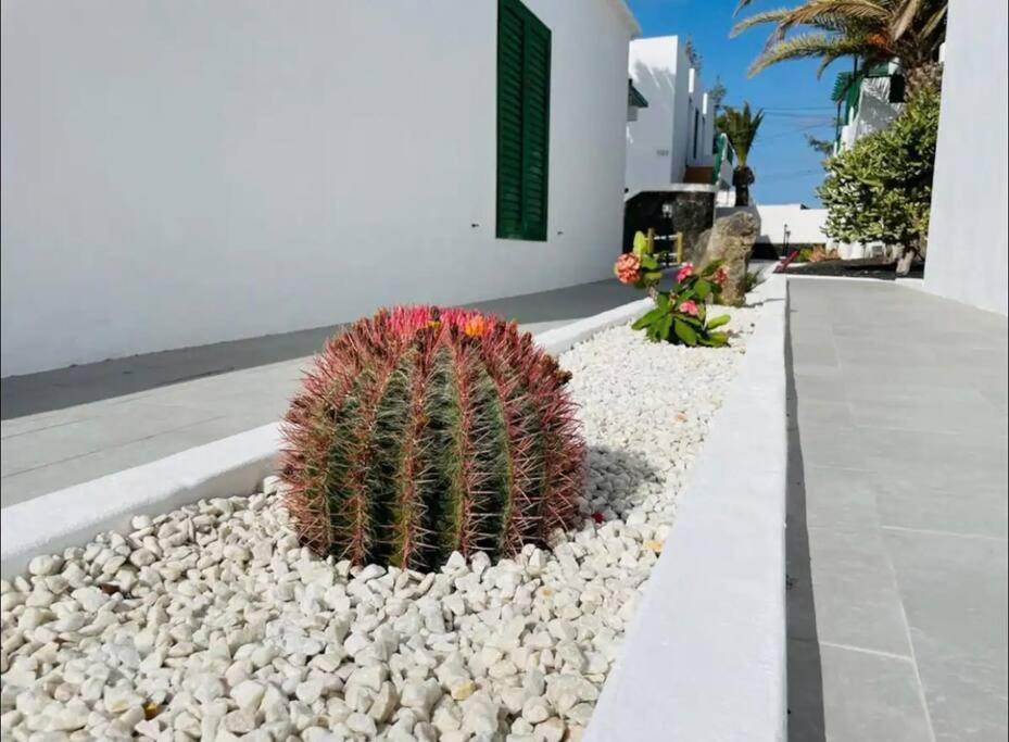 Refugio Del Caracol Apartment Puerto del Carmen  Ngoại thất bức ảnh